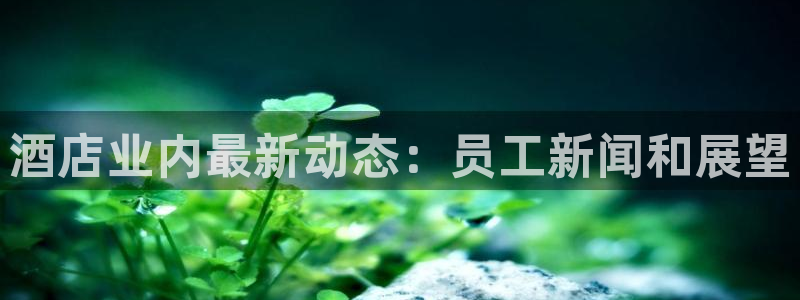 威廉希尔中文网站平台|酒店业内最新动态：员工新闻和展望